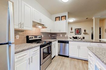 Granite counter-top